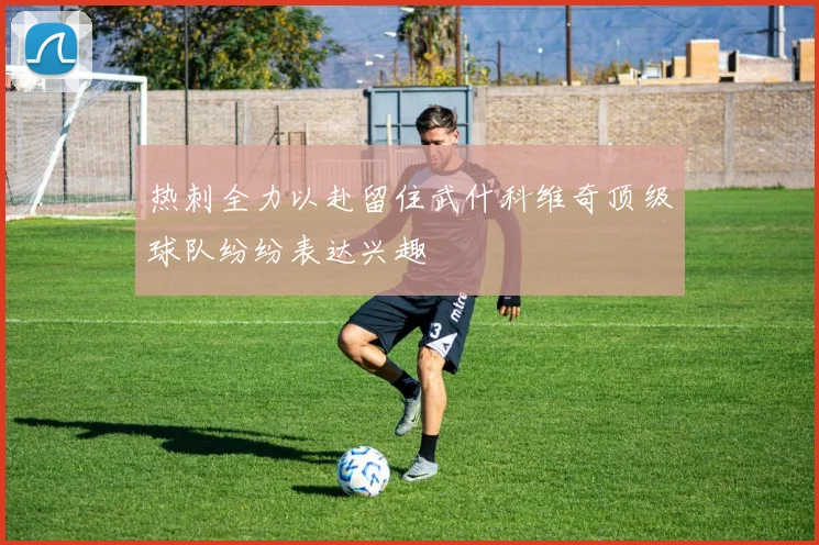 热刺全力以赴留住武什科维奇顶级球队纷纷表达兴趣