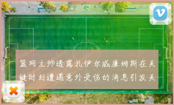 篮网主帅透露扎伊尔威廉姆斯在关键时刻遭遇意外受伤的消息引发关注